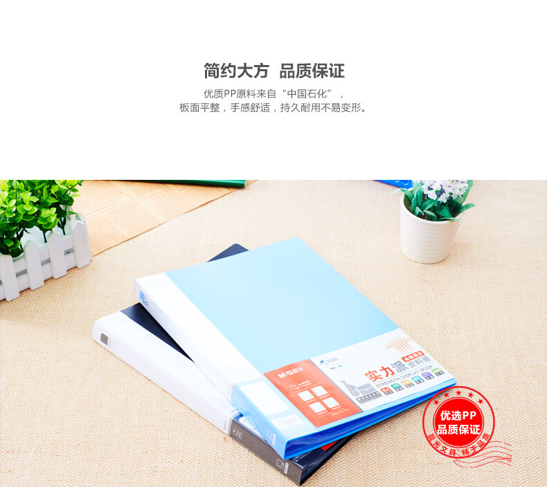 晨光(M&G)40页实力派资料册 插袋档案塑料文件册 档案册 办公用品 黑色 2个装 ADM95124A