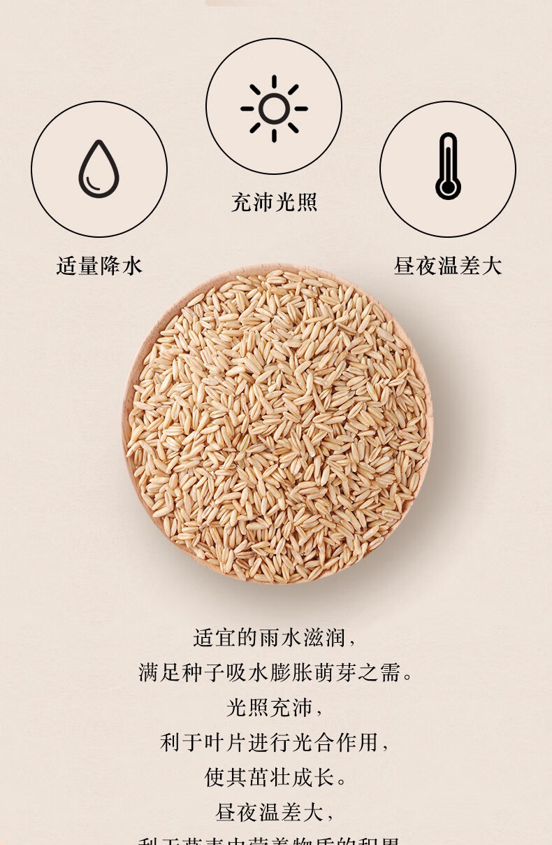 柴火大院  张家口燕麦1kg
