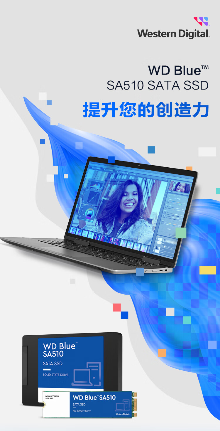 西部数据（WD）SA510蓝盘系列WDS100T3B0A固态硬盘1T/SATA3.0