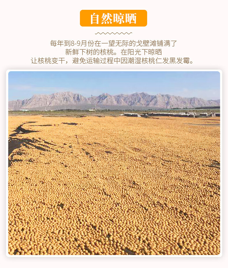 西域美农 薄皮核桃量贩2500g 超值整箱装 坚果炒货 新疆特产 温宿薄皮核桃2500g（彩箱）
