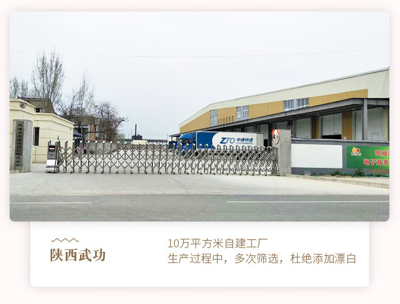 西域美农 薄皮核桃量贩2500g 超值整箱装 坚果炒货 新疆特产 温宿薄皮核桃2500g（彩箱）