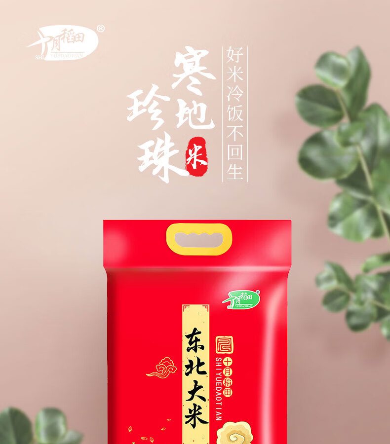 十月稻田东北大米5kg