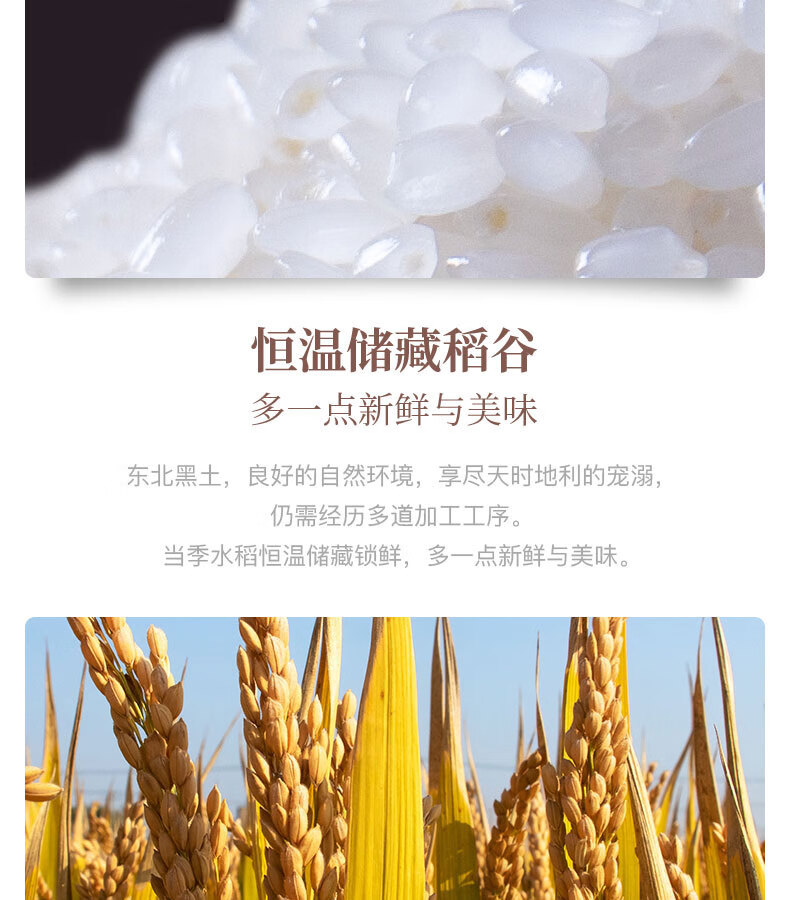 十月稻田东北大米5kg