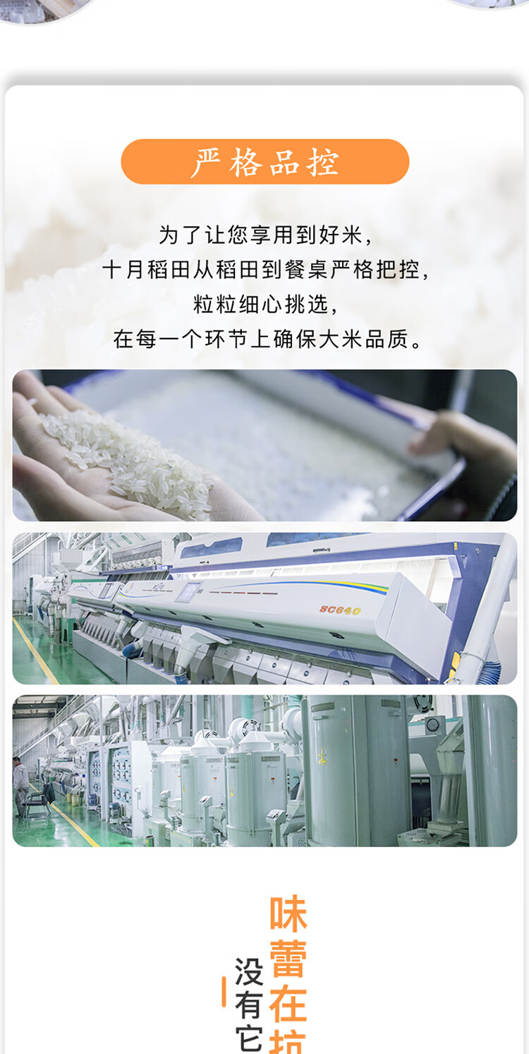 十月稻田 长粒香大米5kg
