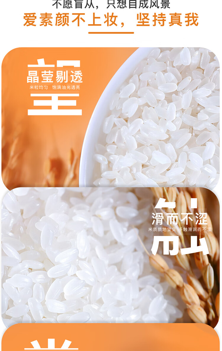 十月稻田 长粒香大米5kg