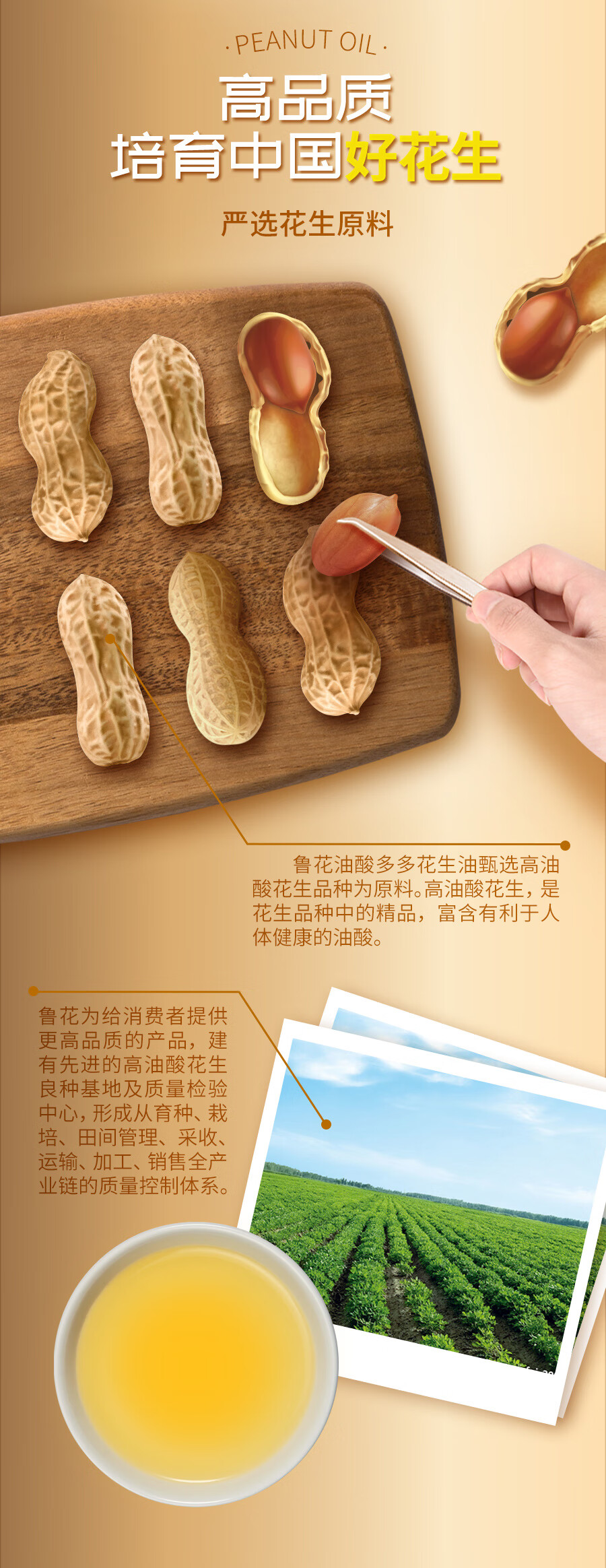 鲁花 粮油食用油 油酸多多花生油1L