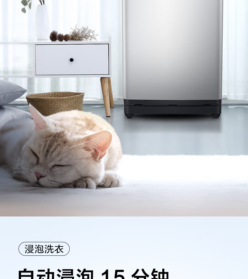 TCL 8公斤全自动波轮洗衣机 租房宿舍家用小型洗衣机 TB-V80A