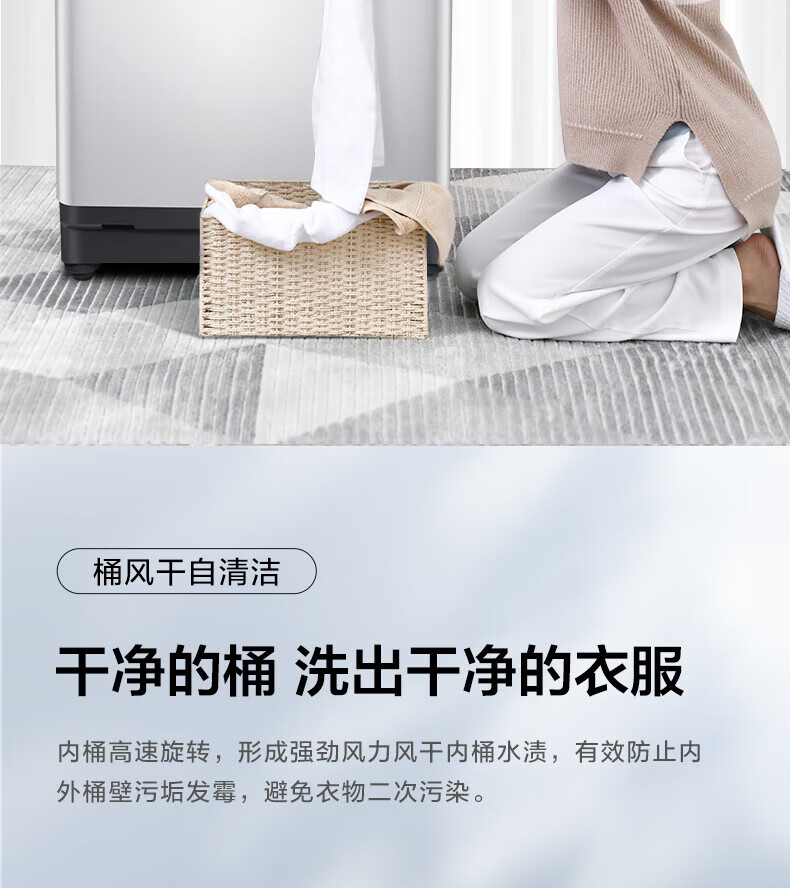 TCL 8公斤全自动波轮洗衣机 租房宿舍家用小型洗衣机 TB-V80A