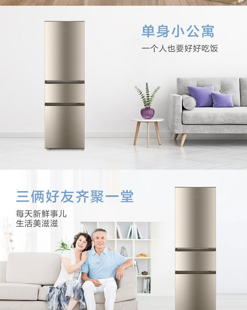 海尔（Haier）冰箱迷你小型家用电冰箱宿舍租房冷冻冷藏冰箱 BCD-218STPS