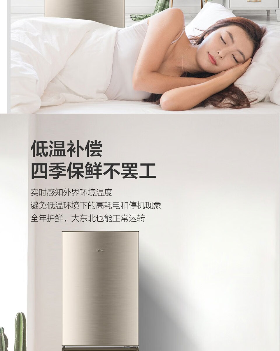 海尔（Haier）冰箱迷你小型家用电冰箱宿舍租房冷冻冷藏冰箱 BCD-218STPS
