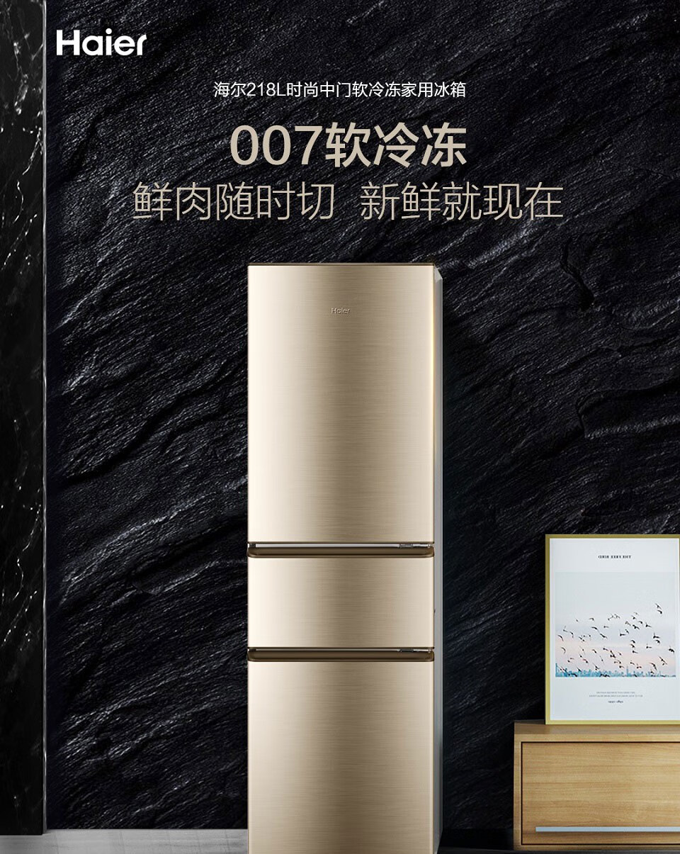 海尔（Haier）冰箱迷你小型家用电冰箱宿舍租房冷冻冷藏冰箱 BCD-218STPS