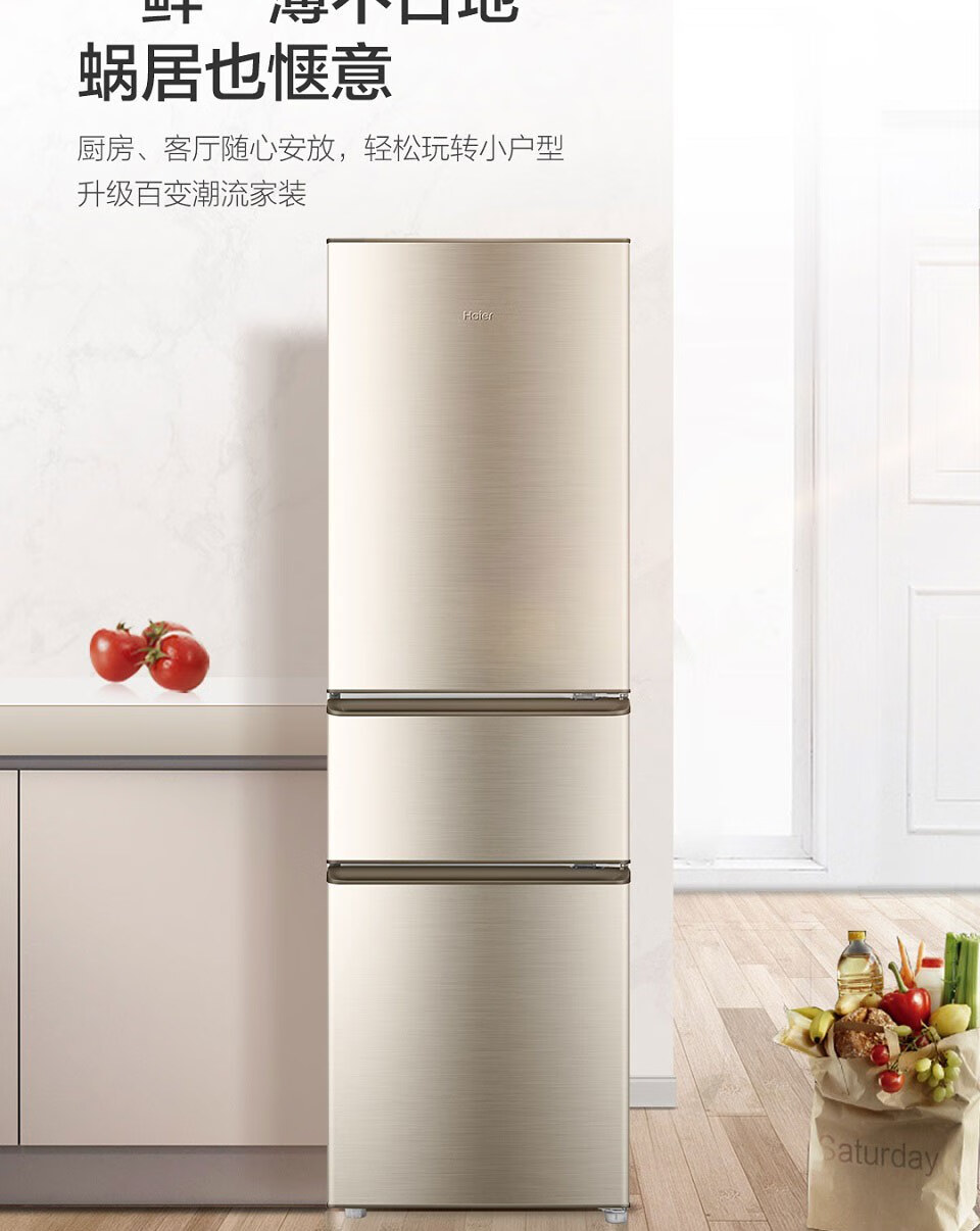 海尔（Haier）冰箱迷你小型家用电冰箱宿舍租房冷冻冷藏冰箱 BCD-218STPS