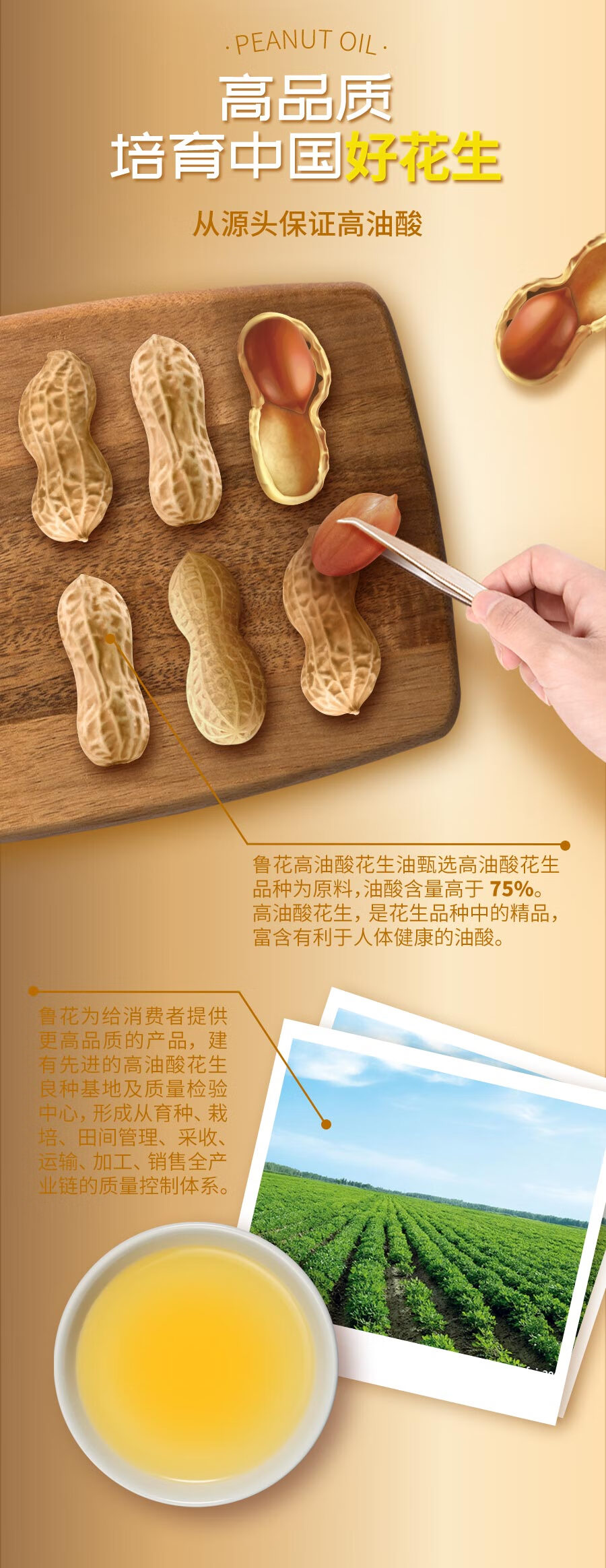 鲁花 物理压榨食用油 高油酸花生油750ml
