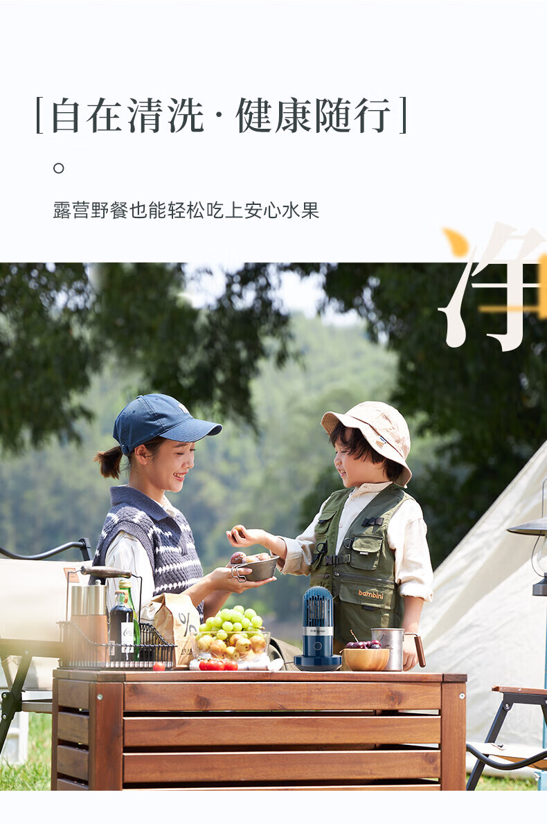 DonLim胶囊果蔬清洗机家用洗菜机净化机器神器 无线便携DL-1212静谧蓝