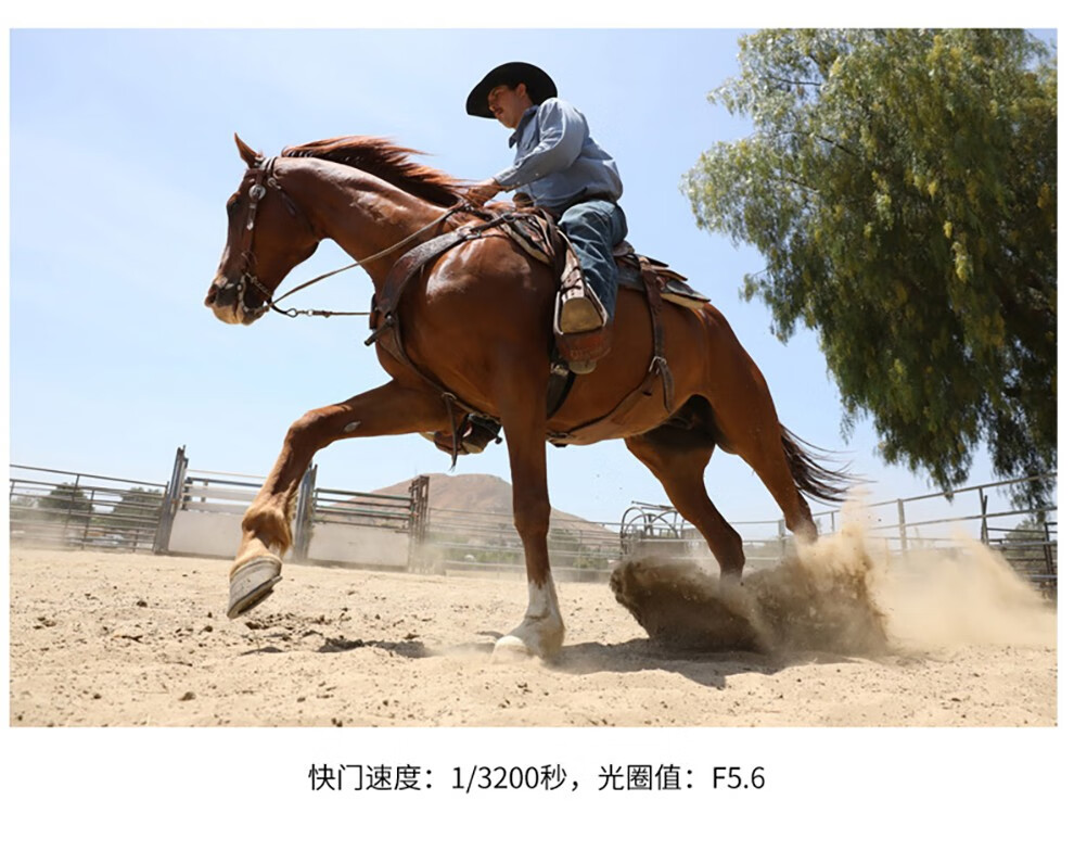 佳能 大三元镜头佳能原装镜头 EF24-70 F2.8 搭配原装UV镜
