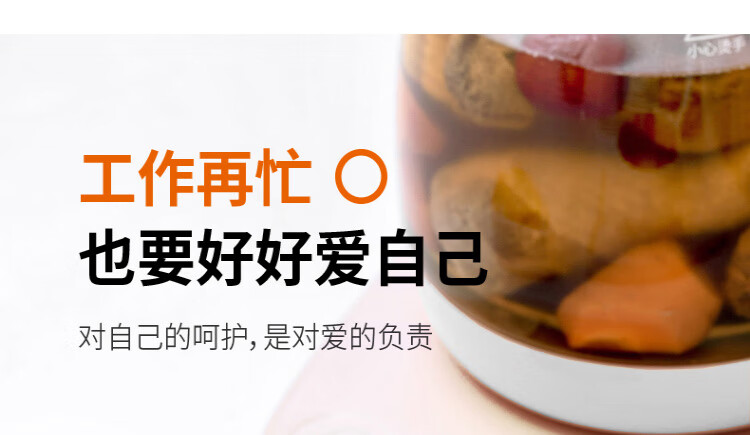 九阳（Joyoung）养生壶家用多功能煮茶壶全自动燕窝壶冲奶1.5L小型迷你 K15F-WY310 榛果褐
