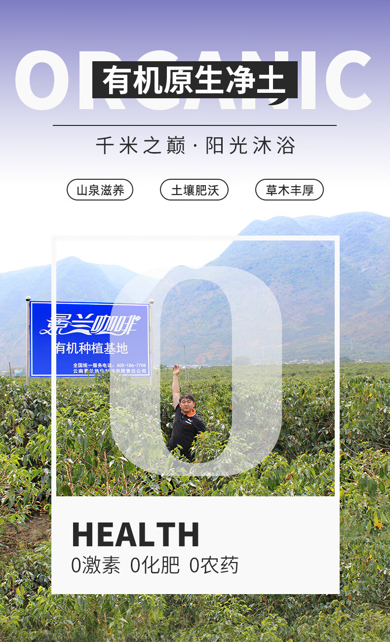 景兰 有机黑咖啡速溶粉 20条 盒装*2