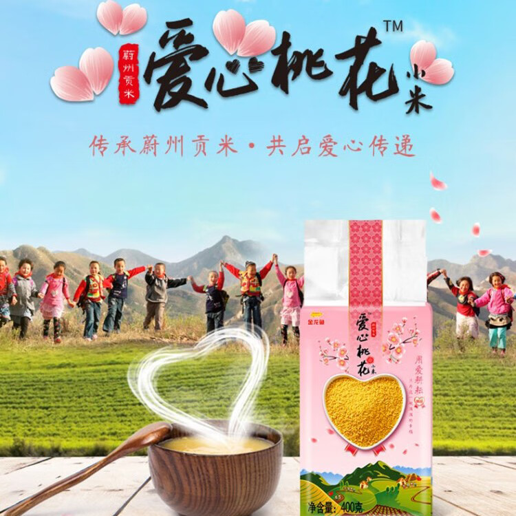 金龙鱼 大礼包年货春节大礼包米面粮油礼盒年货礼盒 金龙鱼大礼包E款3900g+2400ml