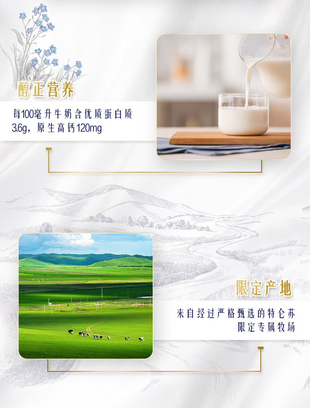 蒙牛 纯牛奶 营养早餐特仑苏 250ml*12