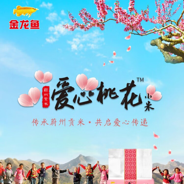 金龙鱼 大礼包年货春节大礼包米面粮油礼盒年货礼盒 金龙鱼大礼包F款5200g+3518ml
