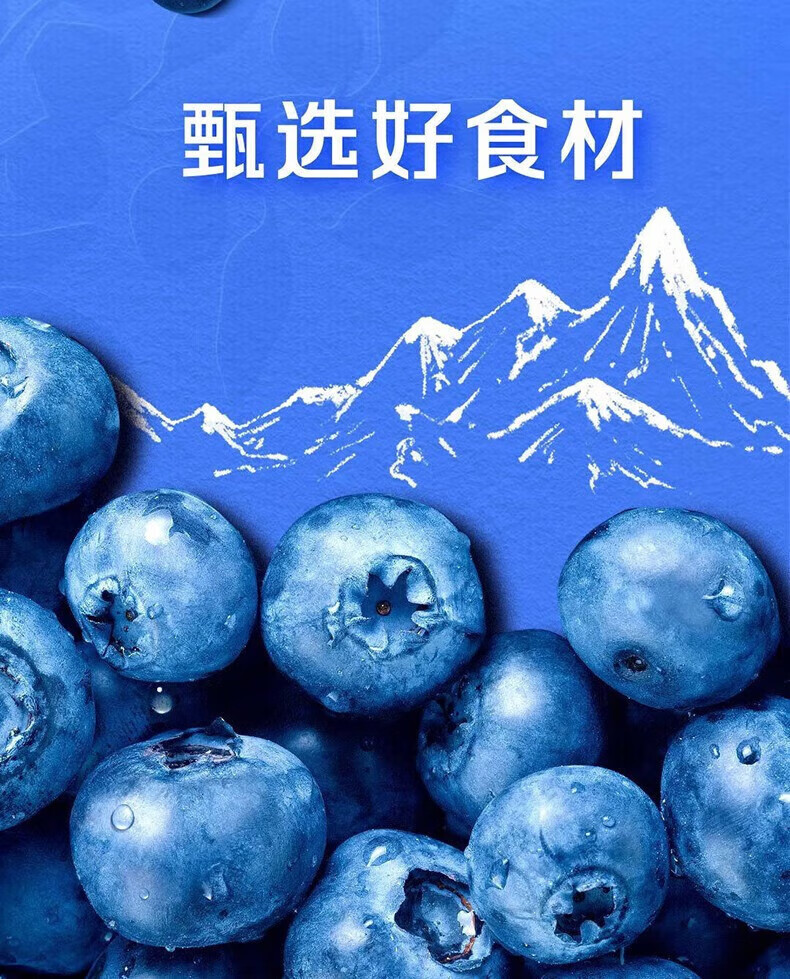 蒙牛 营养早餐 纯甄风味酸奶 白桃燕麦青稞味200g*10