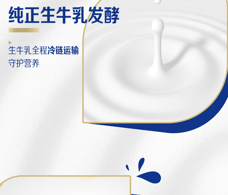 蒙牛 营养早餐 纯甄风味酸奶 白桃燕麦青稞味200g*10