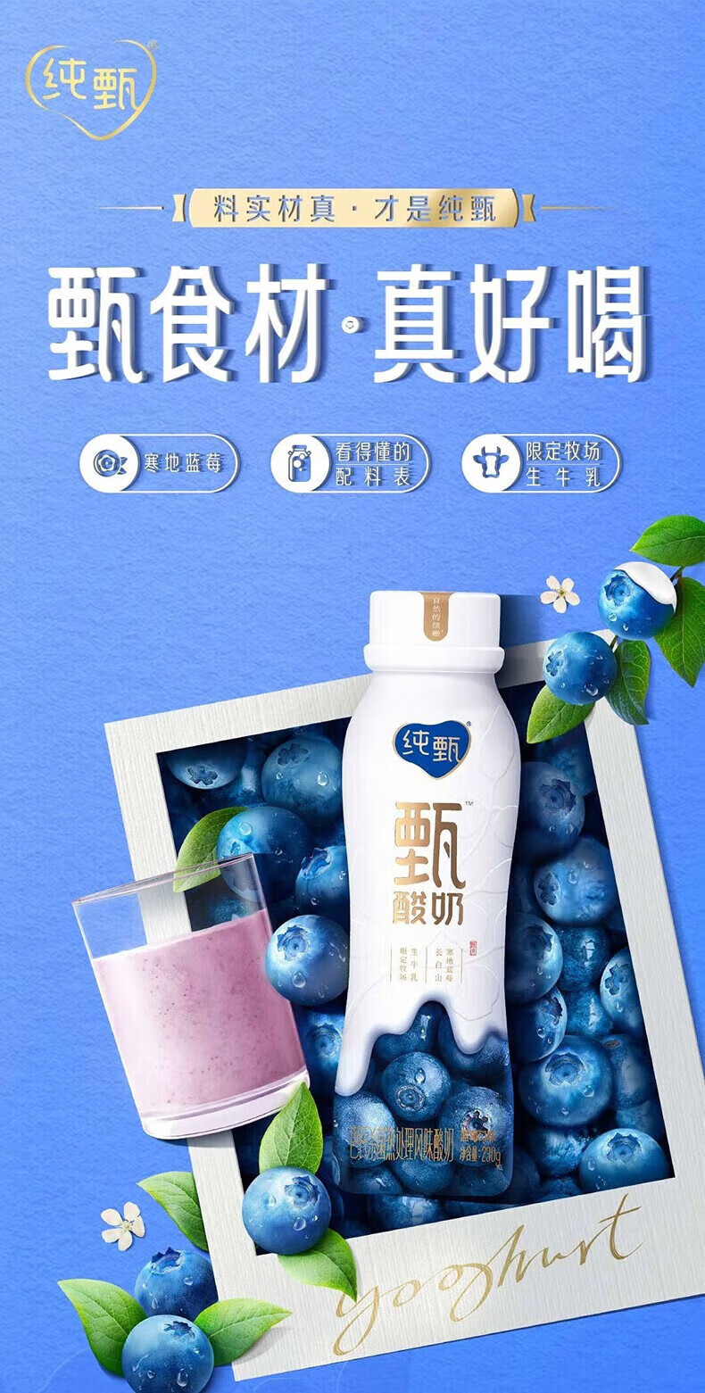 蒙牛 营养早餐 纯甄风味酸奶 白桃燕麦青稞味200g*10