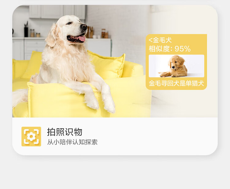 萤石 KW2儿童可视电话手表 防水GPS定位智能手表 学生儿童运动手表 4G全网通 视频拍照双摄手表 男女孩粉
