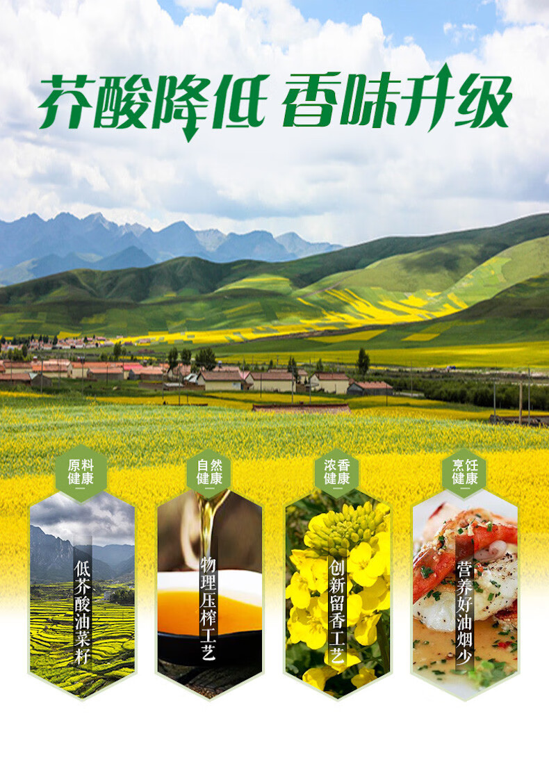 鲁花 食用油 家庭炒菜烹饪油 低芥酸浓香菜籽油1.6L