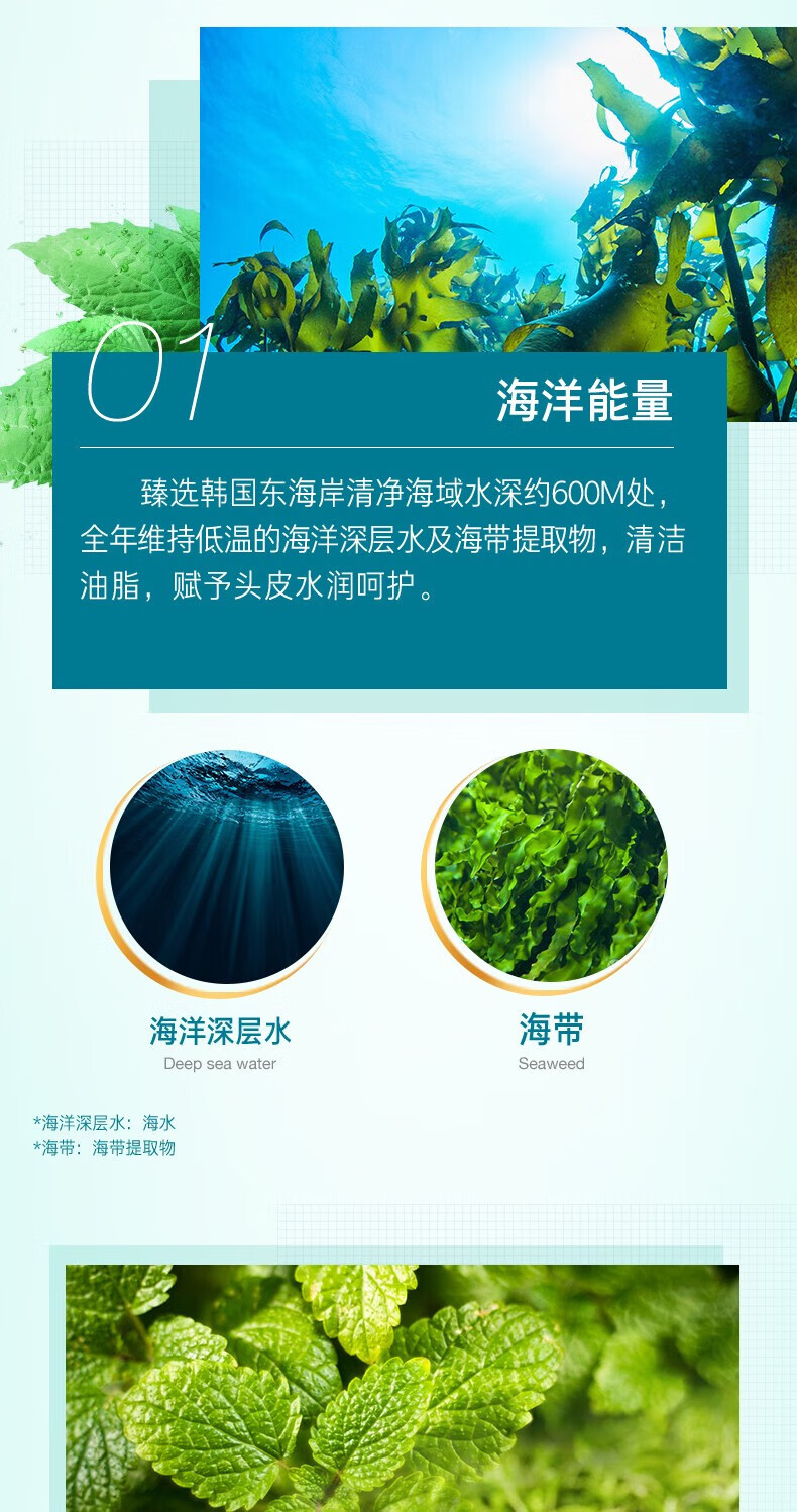 吕（Ryo）舒盈清润净澈控油洗发水套装（洗发水400ml*2) （绿吕）