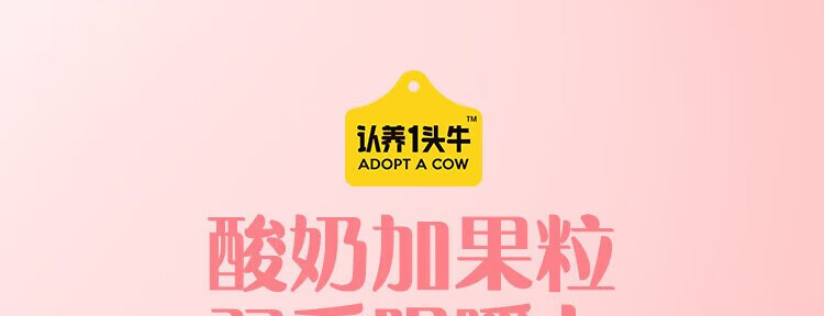 认养一头牛风味酸奶 员工福利 企业内购 原味+白桃燕麦味230g*10瓶共2提