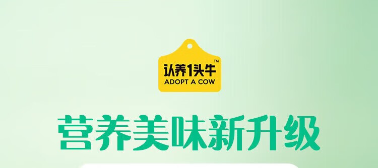认养一头牛风味酸奶 员工福利 企业内购 原味+白桃燕麦味230g*10瓶共2提