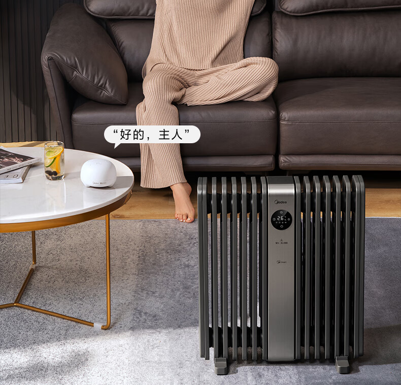 Midea美的取暖器/电暖器/电暖气片家用/取暖炉/WIFI智能遥控加宽14片双擎取暖电热油汀HYX22TR