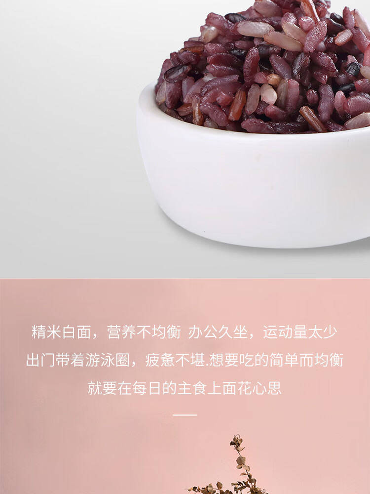 十月稻田  三色糙米480g*2盒 (红米 糙米 黑米 五谷杂粮 粗粮主食 )