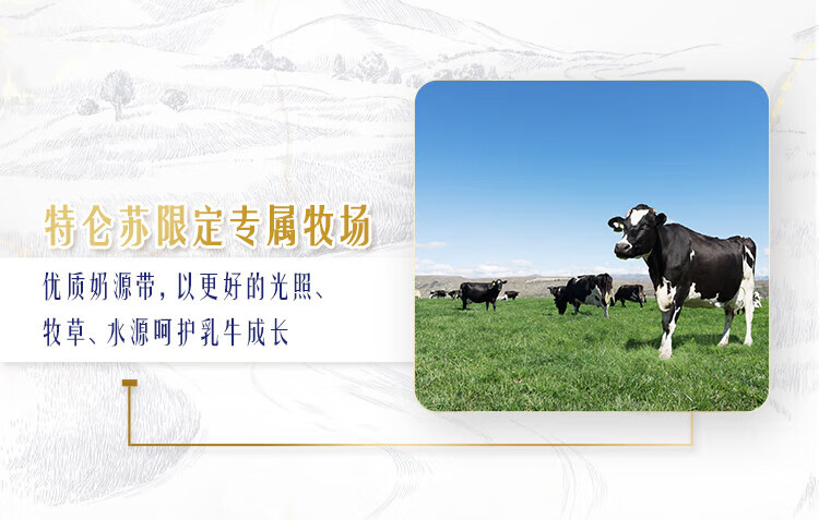 蒙牛 营养早餐 特仑苏 纯牛奶梦幻盖250ml*10