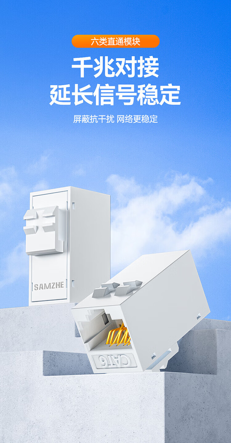 山泽(SAMZHE) 六类RJ45网络直通模块 母对母 网线延长 网线对接头双通头网络直通头模块 WAN-08