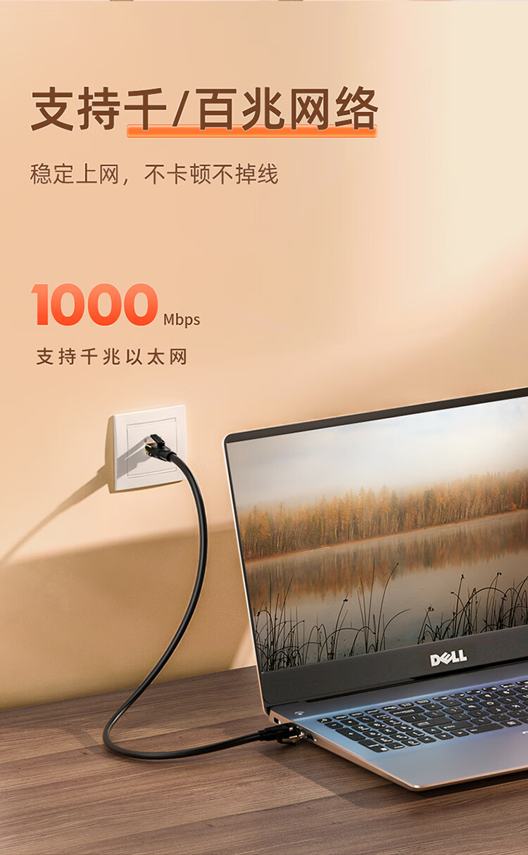 山泽(SAMZHE) 超五类网络模块 CAT5e网线插座面板模块 RJ45水晶头母座网线连接头 工程级镀金版 WAN-05