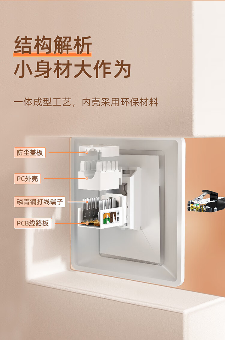 山泽(SAMZHE) 超五类网络模块 CAT5e网线插座面板模块 RJ45水晶头母座网线连接头 工程级镀金版 WAN-05