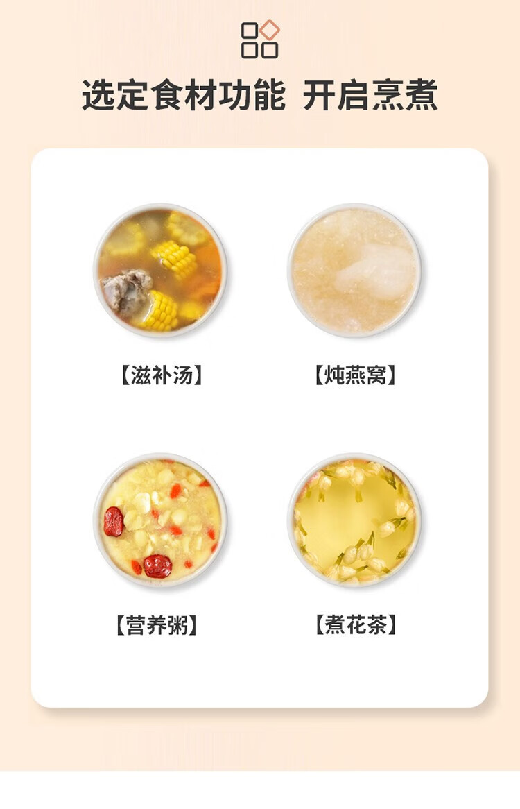利仁（Liven）养生壶 电炖锅 电火锅 燕窝炖盅 电煮锅 婴儿煮粥锅熬粥YSG-D2003