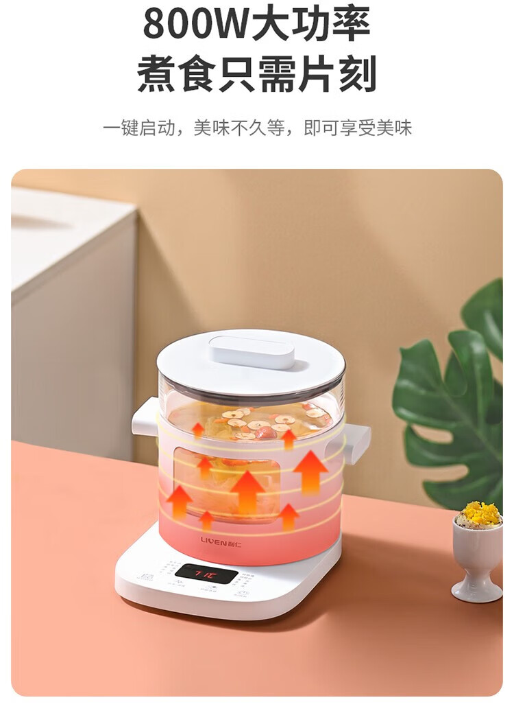 利仁（Liven）养生壶 电炖锅 电火锅 燕窝炖盅 电煮锅 婴儿煮粥锅熬粥YSG-D2003