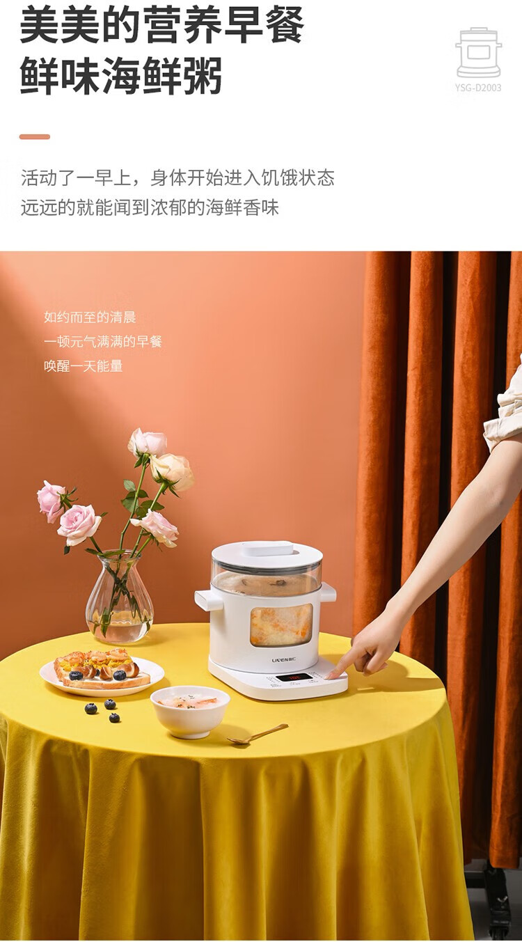 利仁（Liven）养生壶 电炖锅 电火锅 燕窝炖盅 电煮锅 婴儿煮粥锅熬粥YSG-D2003