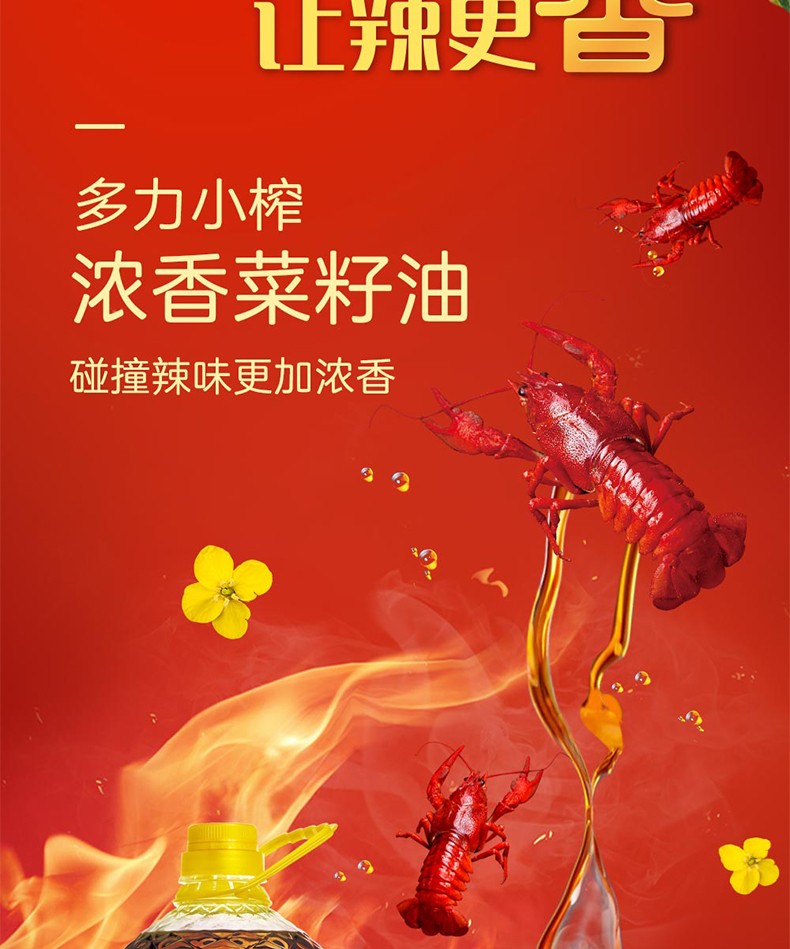 多力 浓香菜籽油5L 压榨食用油