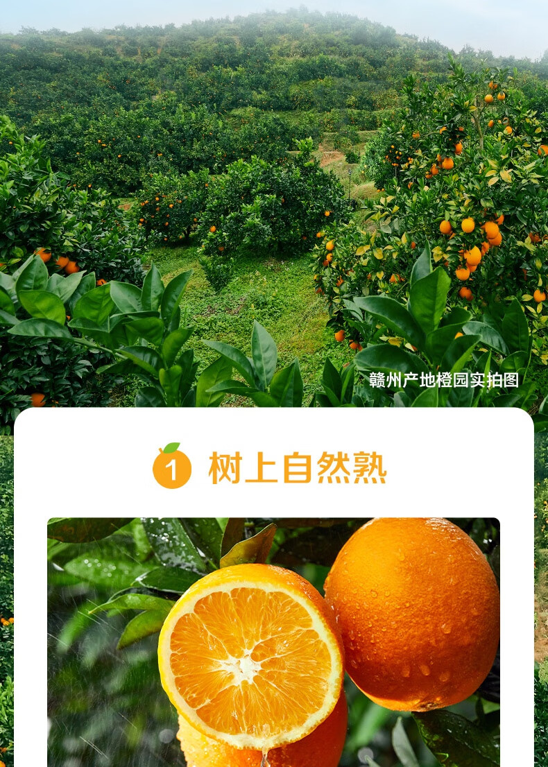 农夫山泉NFC果汁饮料 整箱装 100%NFC橙汁300ml*24瓶