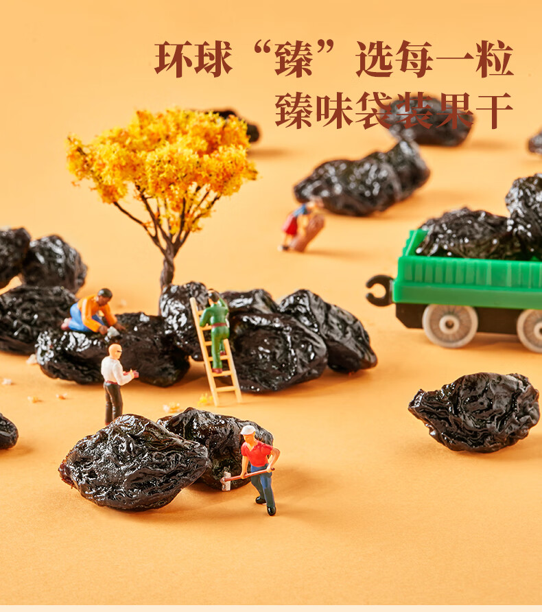 臻味 零食小吃智利无核西梅干 200g
