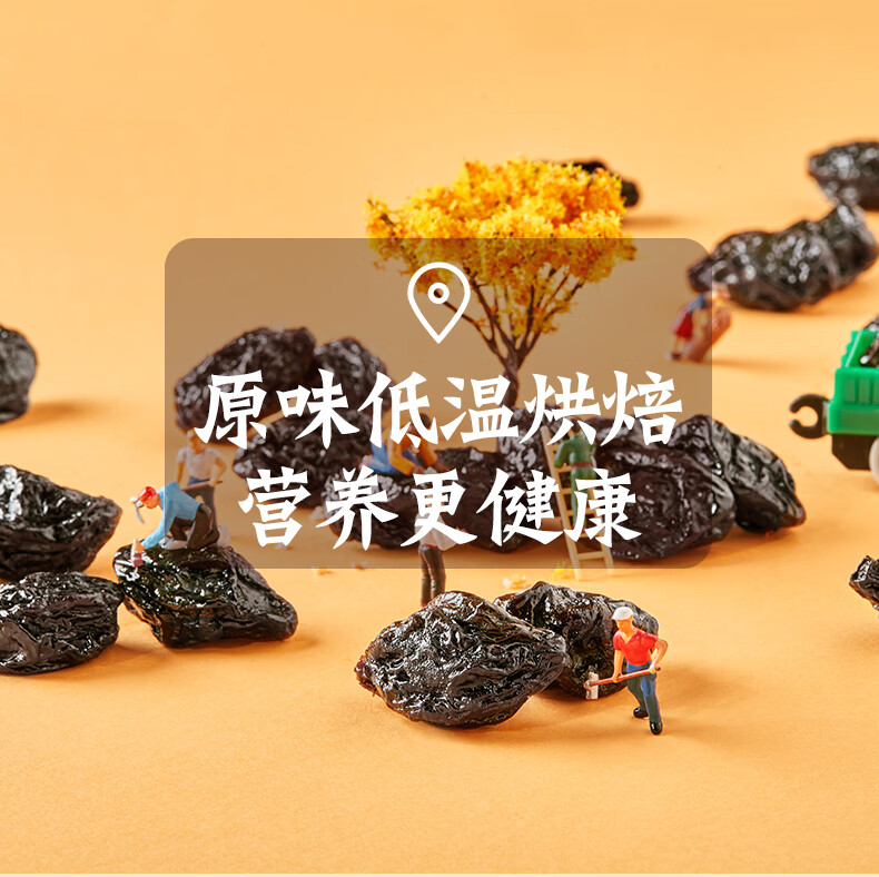 臻味 零食小吃智利无核西梅干 200g