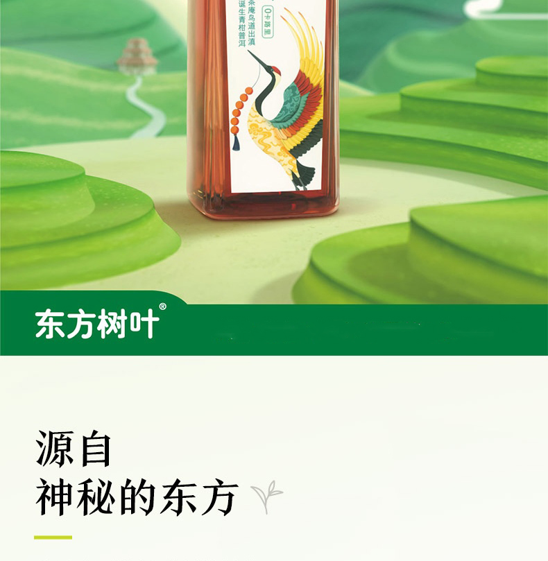 农夫山泉东方树叶青柑普洱 茶饮料 整箱装 500ml*15瓶