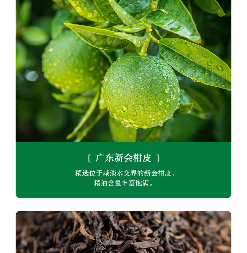 农夫山泉东方树叶青柑普洱 茶饮料 整箱装 500ml*15瓶