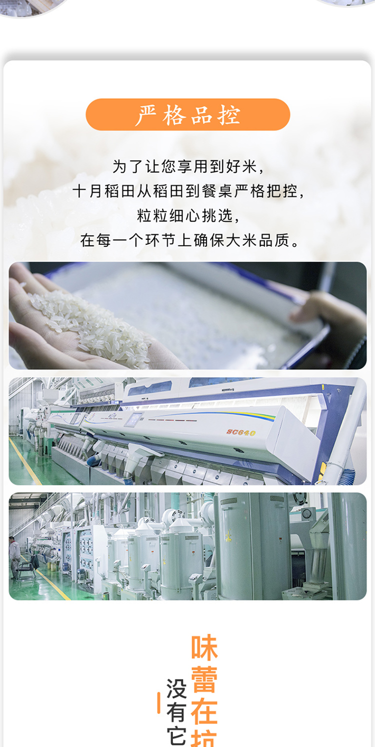 十月稻田 长粒香大米5kg