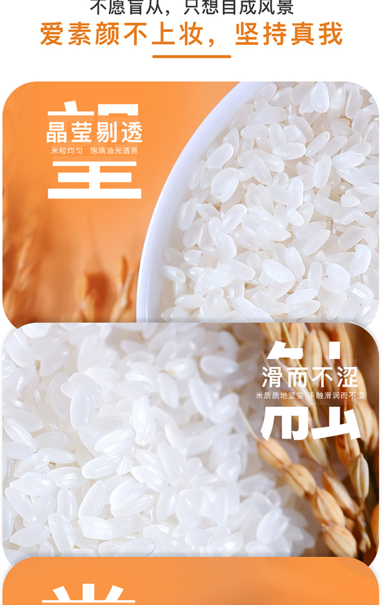 十月稻田 长粒香大米5kg