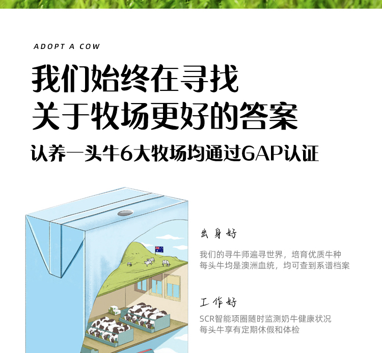 认养一头牛常温原味法式酸奶风味酸奶 新老包装随机发货200克*12盒*2箱